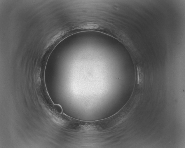 X0000078010300200611031437