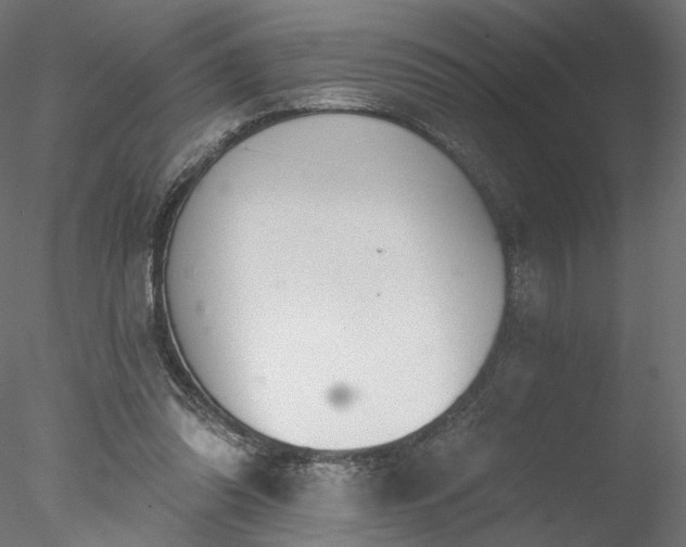 X0000078010302200611031437