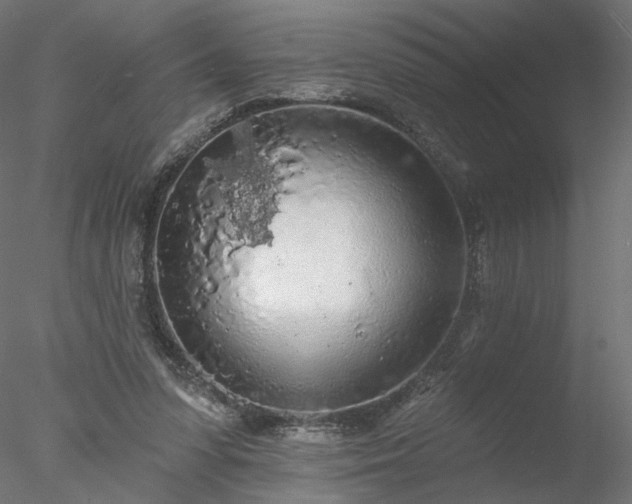 X0000078010303200611031437