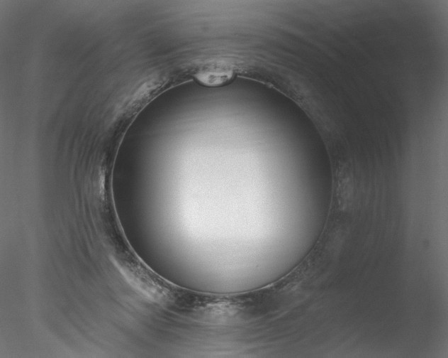 X0000078010310200611031437