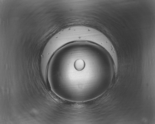 X0000078010313200611031437