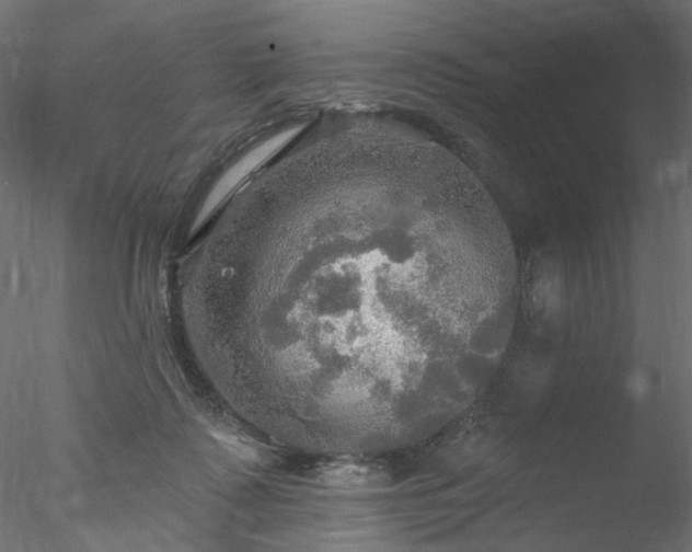 X0000078010315200611031437