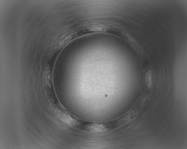 X0000078010322200611031437