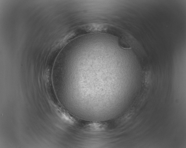 X0000078010326200611031437