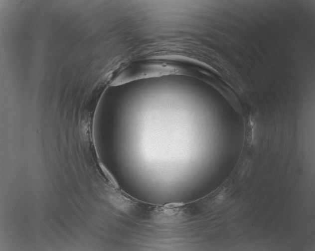 X0000078010329200611031437