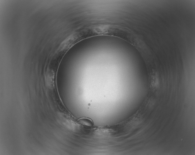 X0000078010332200611031437