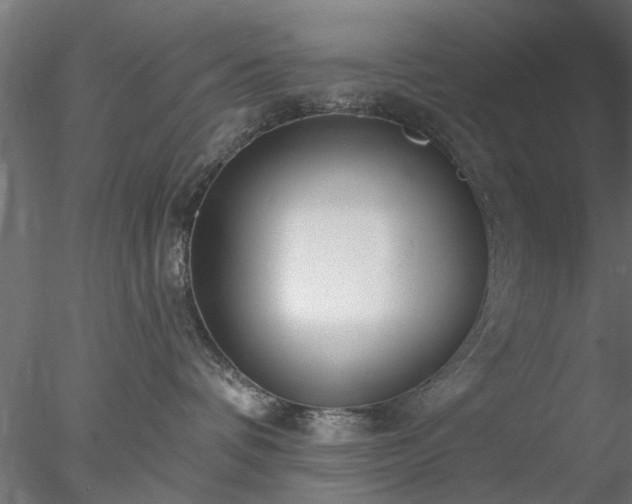 X0000078010336200611031436