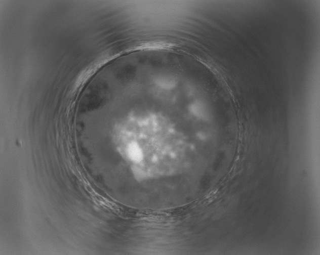 X0000078010337200611031436