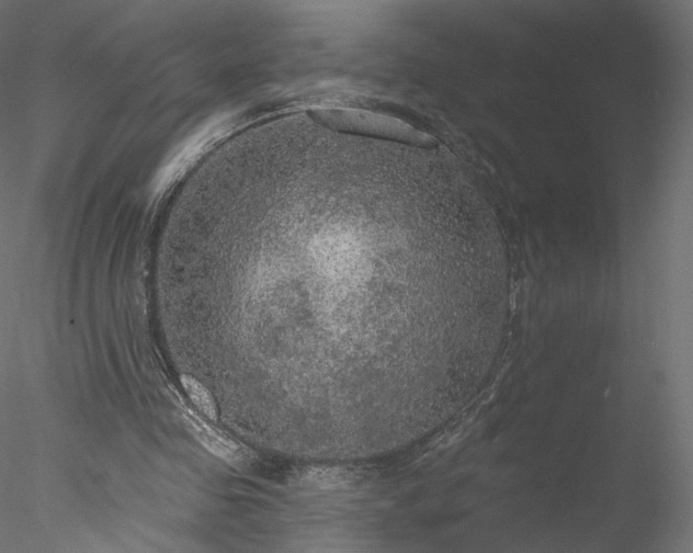 X0000078010341200611031436