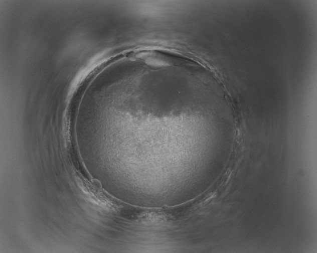 X0000078010343200611031436