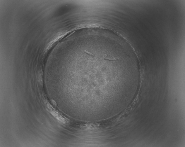 X0000078010345200611031436