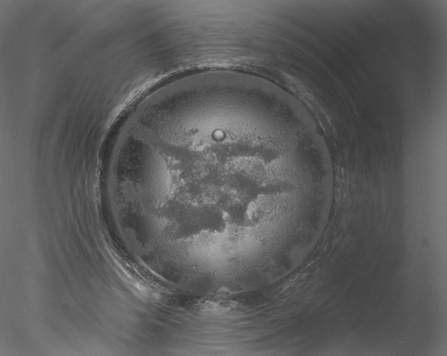 X0000078010346200611031436