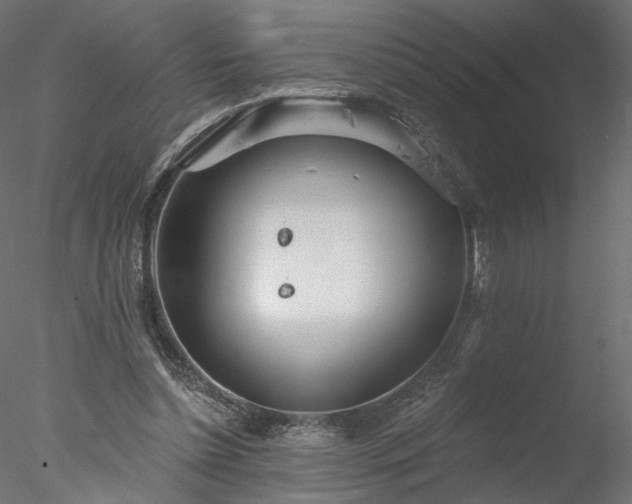 X0000078010348200611031436