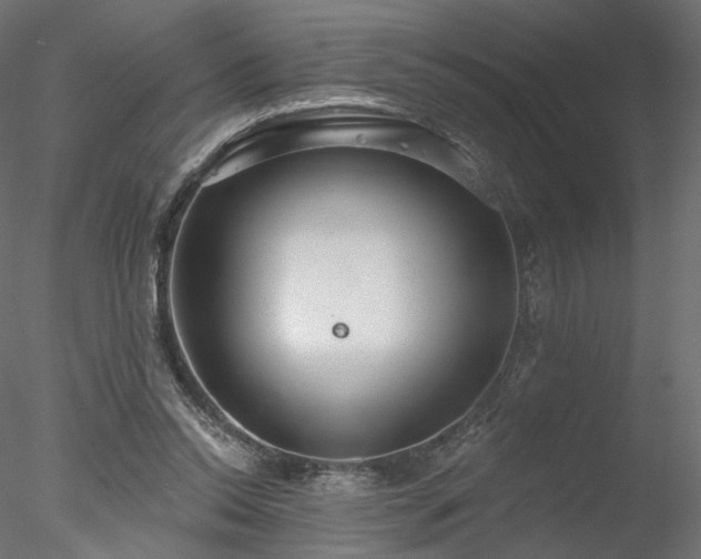 X0000078010350200611031436