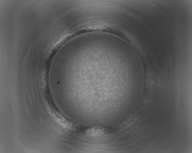 X0000078010354200611031436