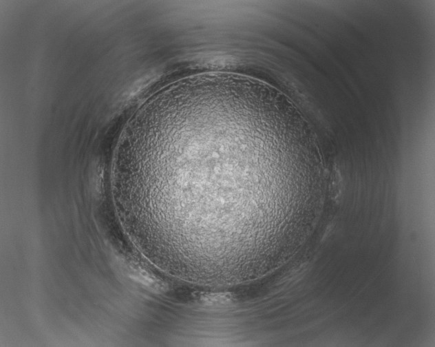 X0000078010355200611031436