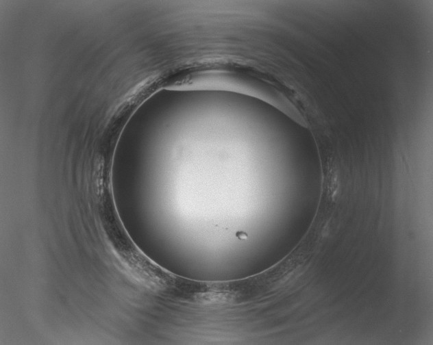 X0000078010356200611031436