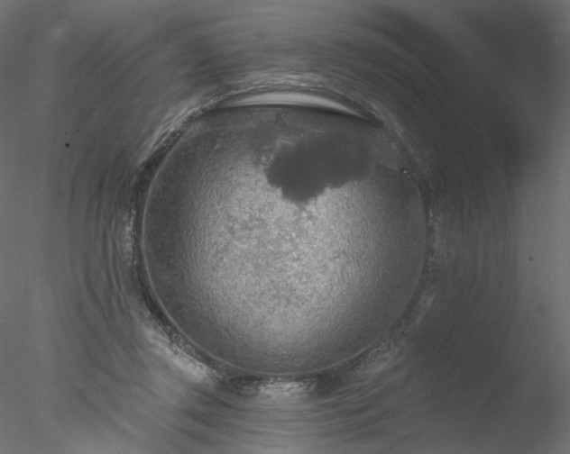 X0000078010357200611031436