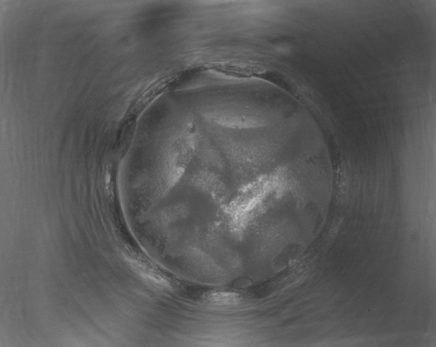 X0000078010361200611031436