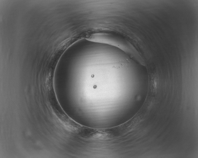 X0000078010364200611031436