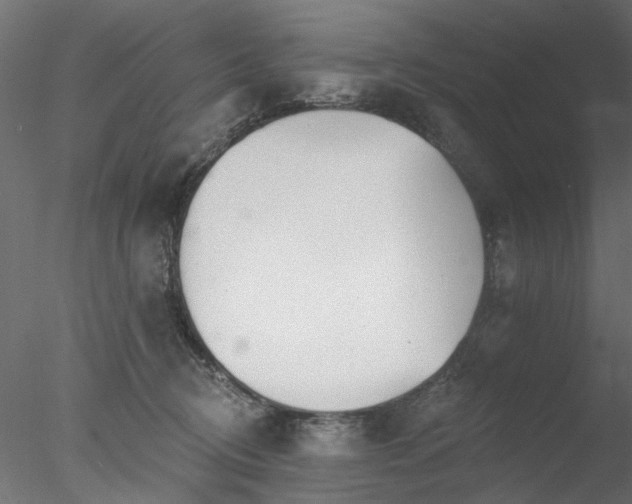 X0000078010370200611031436