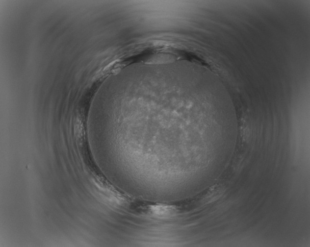 X0000078010371200611031436