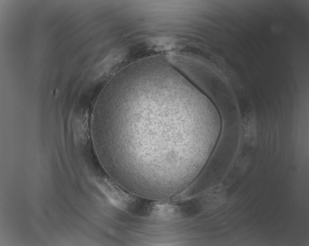 X0000078010376200611031436