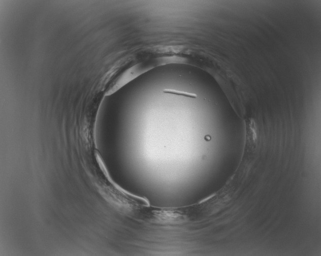 X0000078010380200611031436