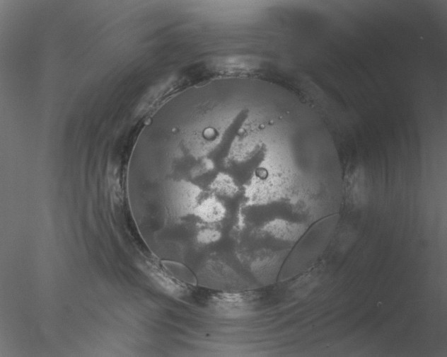 X0000078010381200611031436