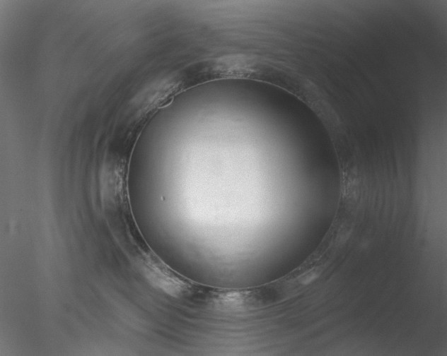 X0000078010382200611031436