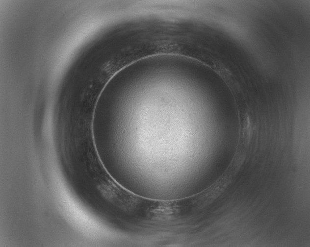 X0000078010383200611031436