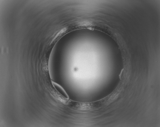 X0000078010384200611031436