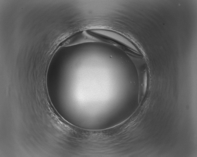 X0000078010385200611031436