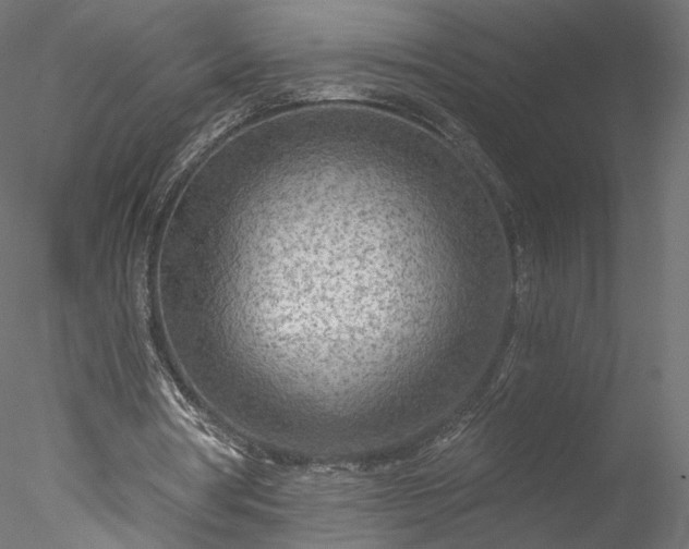 X0000078010386200611031436