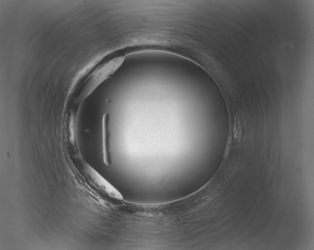 X0000078010388200611031436