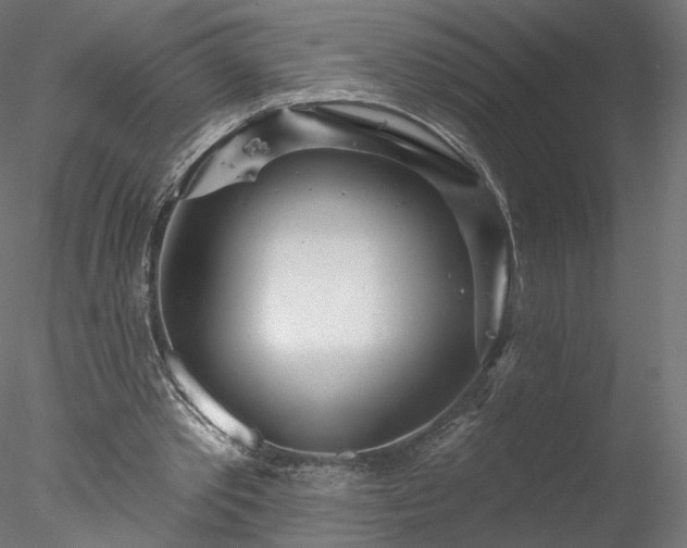 X0000078010389200611031436