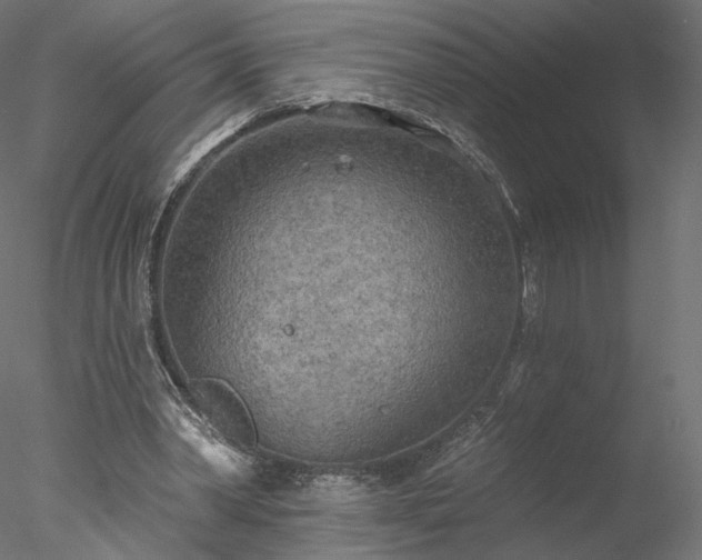 X0000078010390200611031436