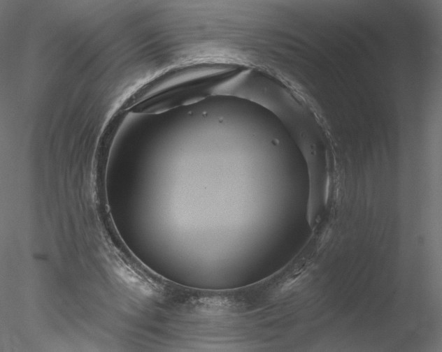 X0000078010391200611031436