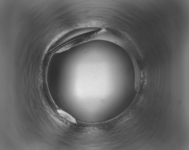 X0000078010392200611031436