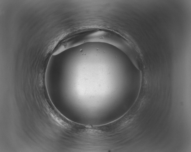 X0000078010393200611031436