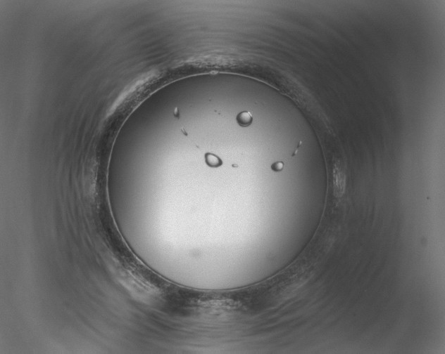 X0000078010396200611031435