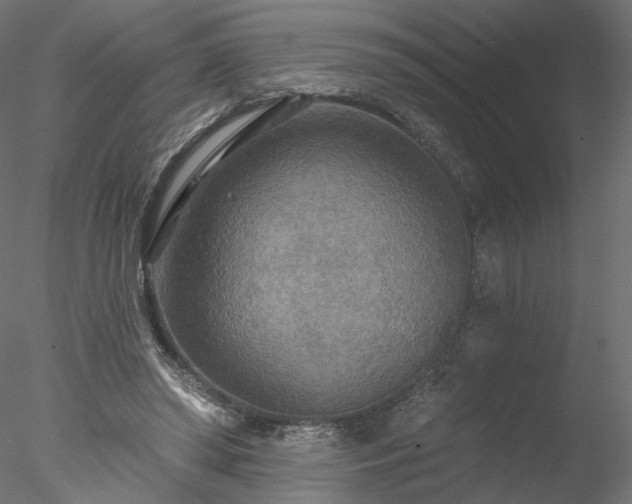 X0000078010398200611031435