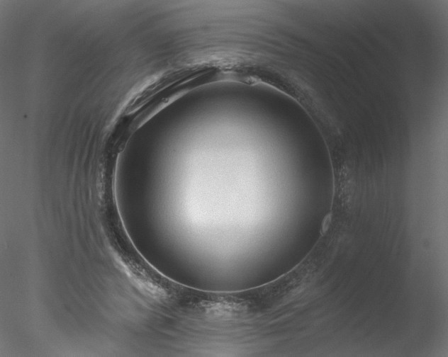 X0000078010400200611031435