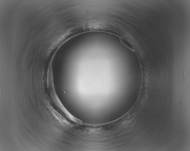 X0000078010401200611031435