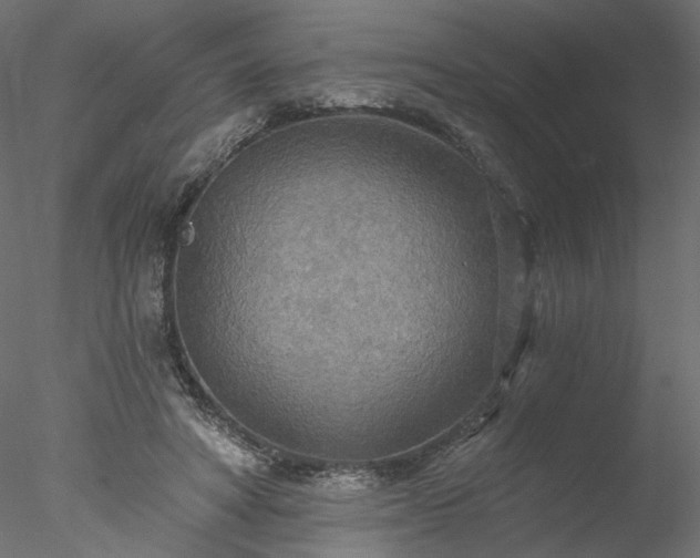 X0000078010402200611031435