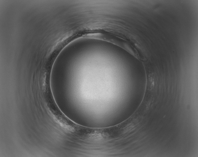 X0000078010404200611031435