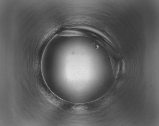 X0000078010407200611031435