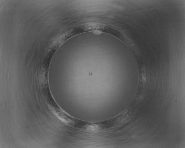 X0000078010411200611031435