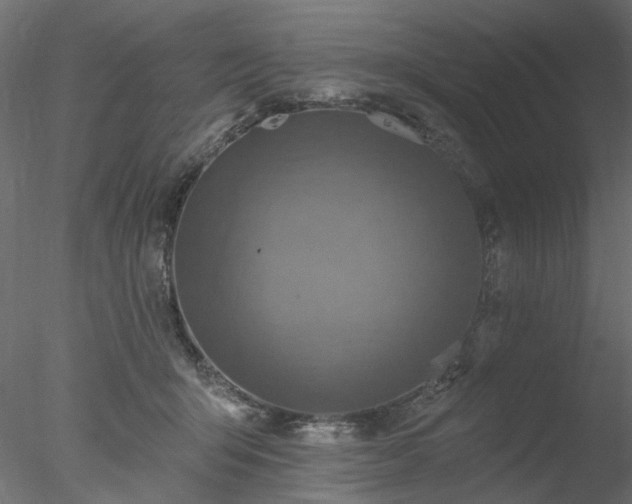 X0000078010415200611031435