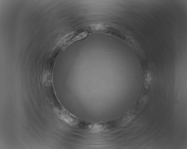 X0000078010419200611031435